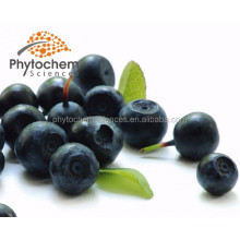 Organic Frozen Acai Puree Dried Powder High Anthocyanidin&Vc